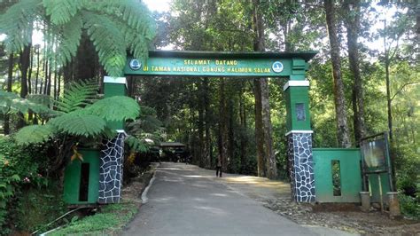 Flora dan Fauna di Gunung Gunung Salak Jawa Barat